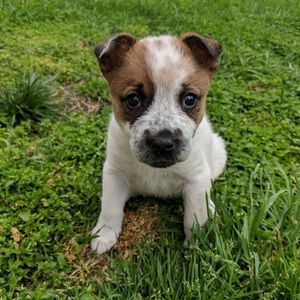 Meet your Posher, Mason